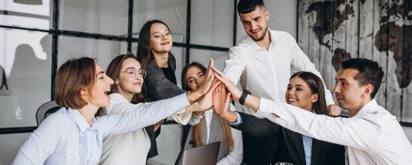 Servicios Profesionales